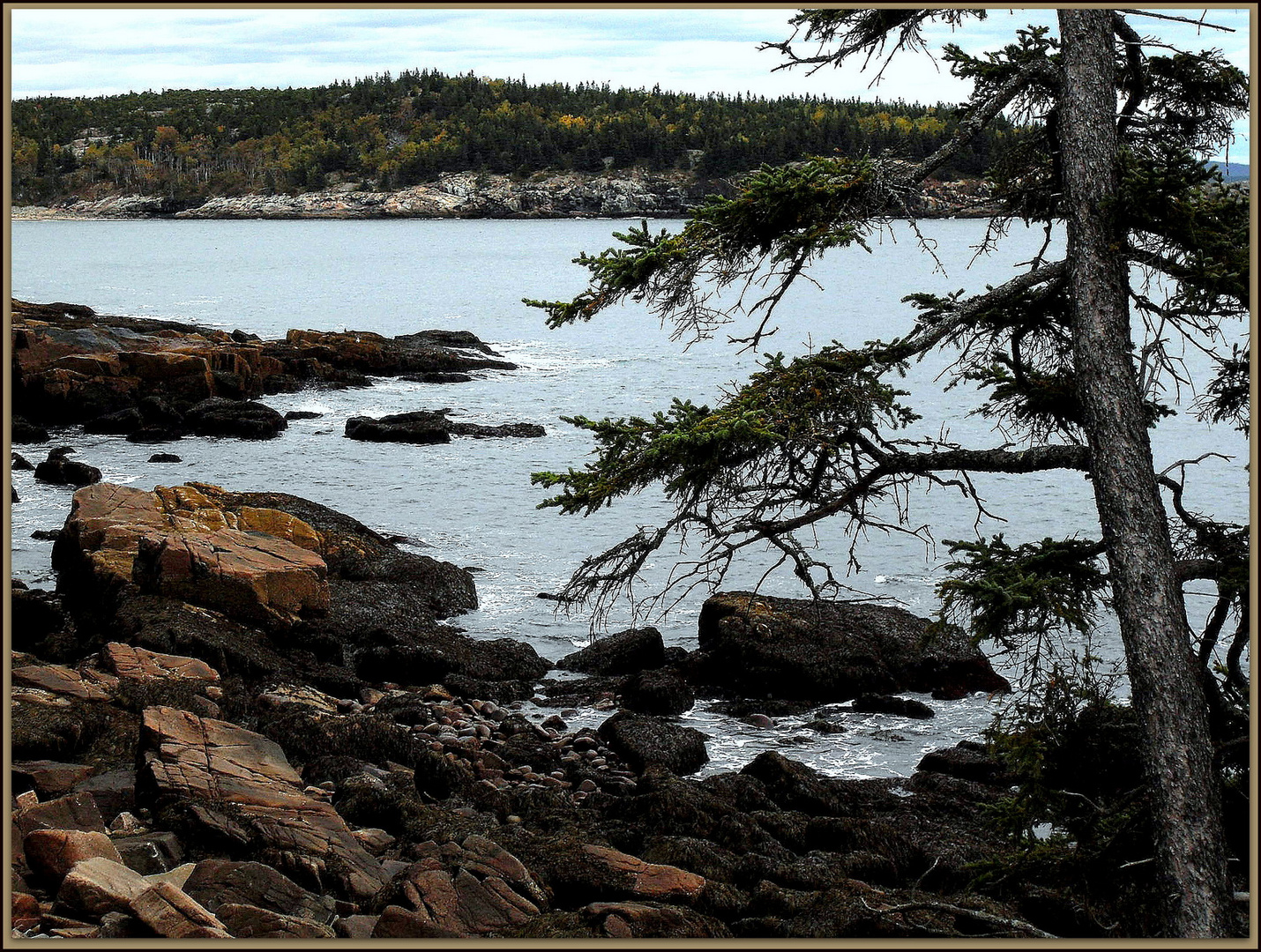 Acadia - Nationalpark... Nordamerika...