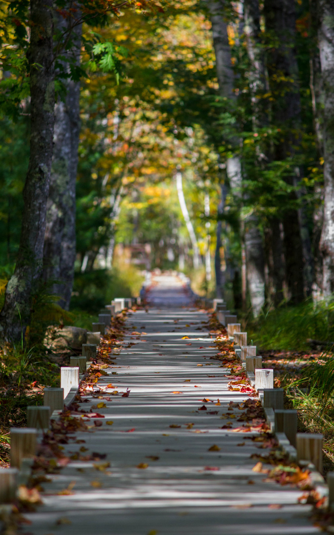 Acadia NP