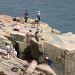 Acadia NP, ME 4198