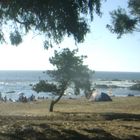 acampando en la playa