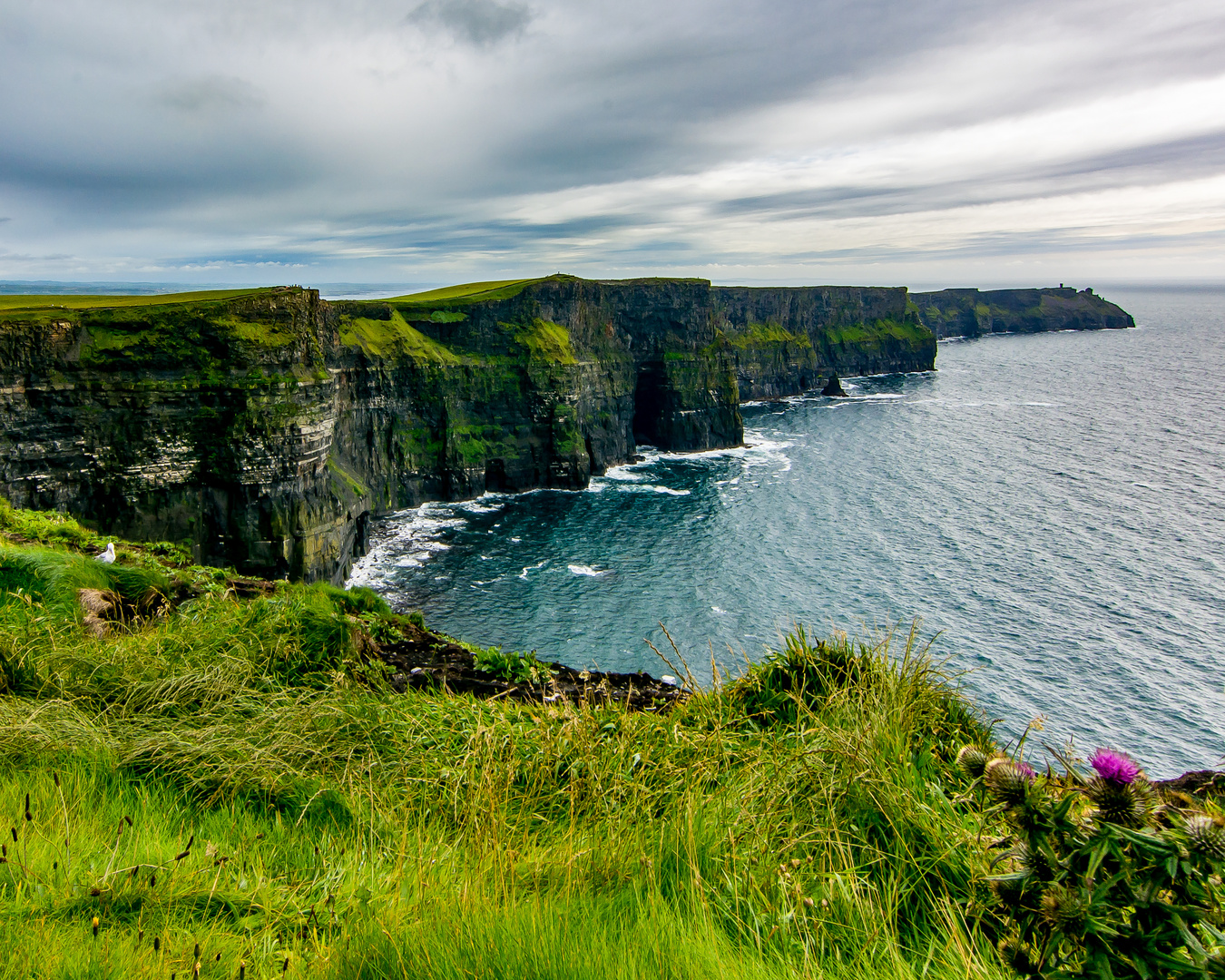 Acantilados de Moher (Irlanda)