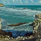 Acantilados en Muriwai Beach