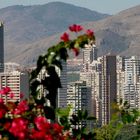 ACAPULCO DE COSTA-BLANCA (Benidorm,DownTown)