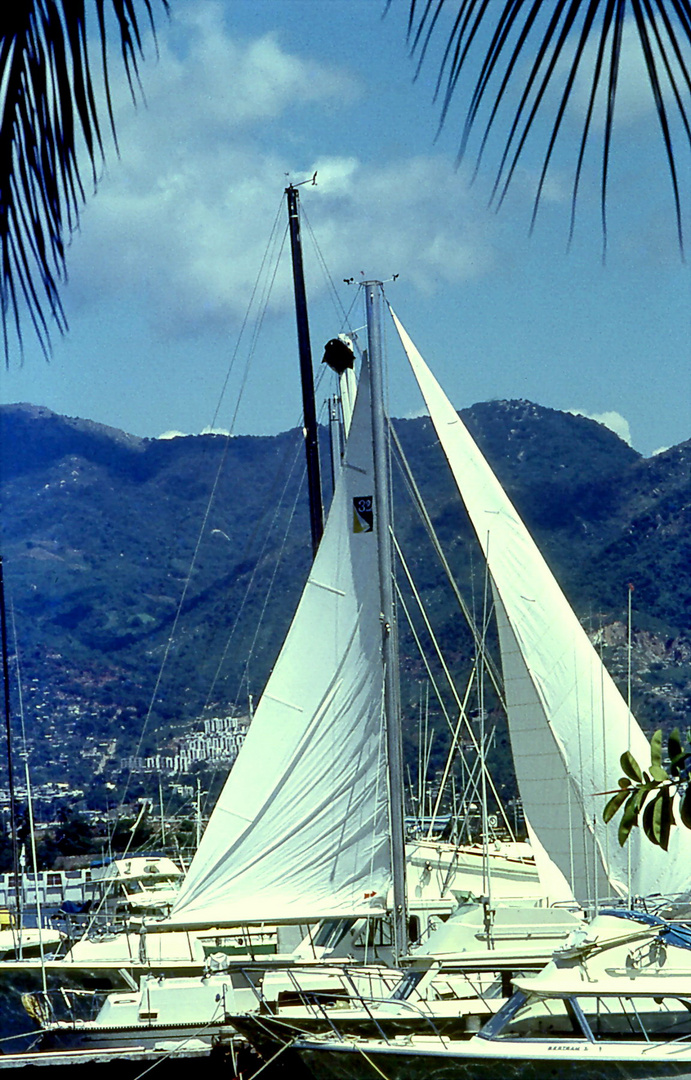 Acapulco Sailing