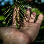 ACARICIANDO LA NATURALEZA/CARESSING NATURE