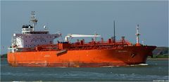 ACC AMAL, Oil/Chemical Tanker