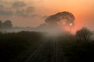 Nebelwetter im Moor, Sonnenaufgang von Dieter Craasmann