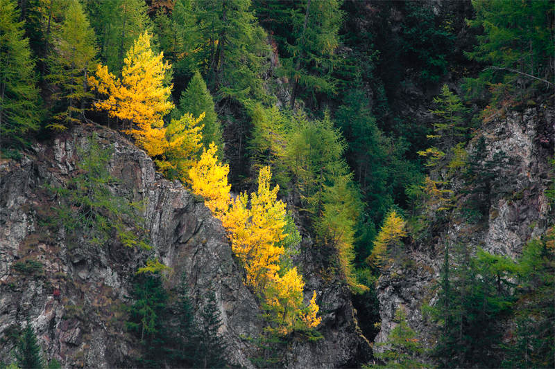 Accenni d'autunno