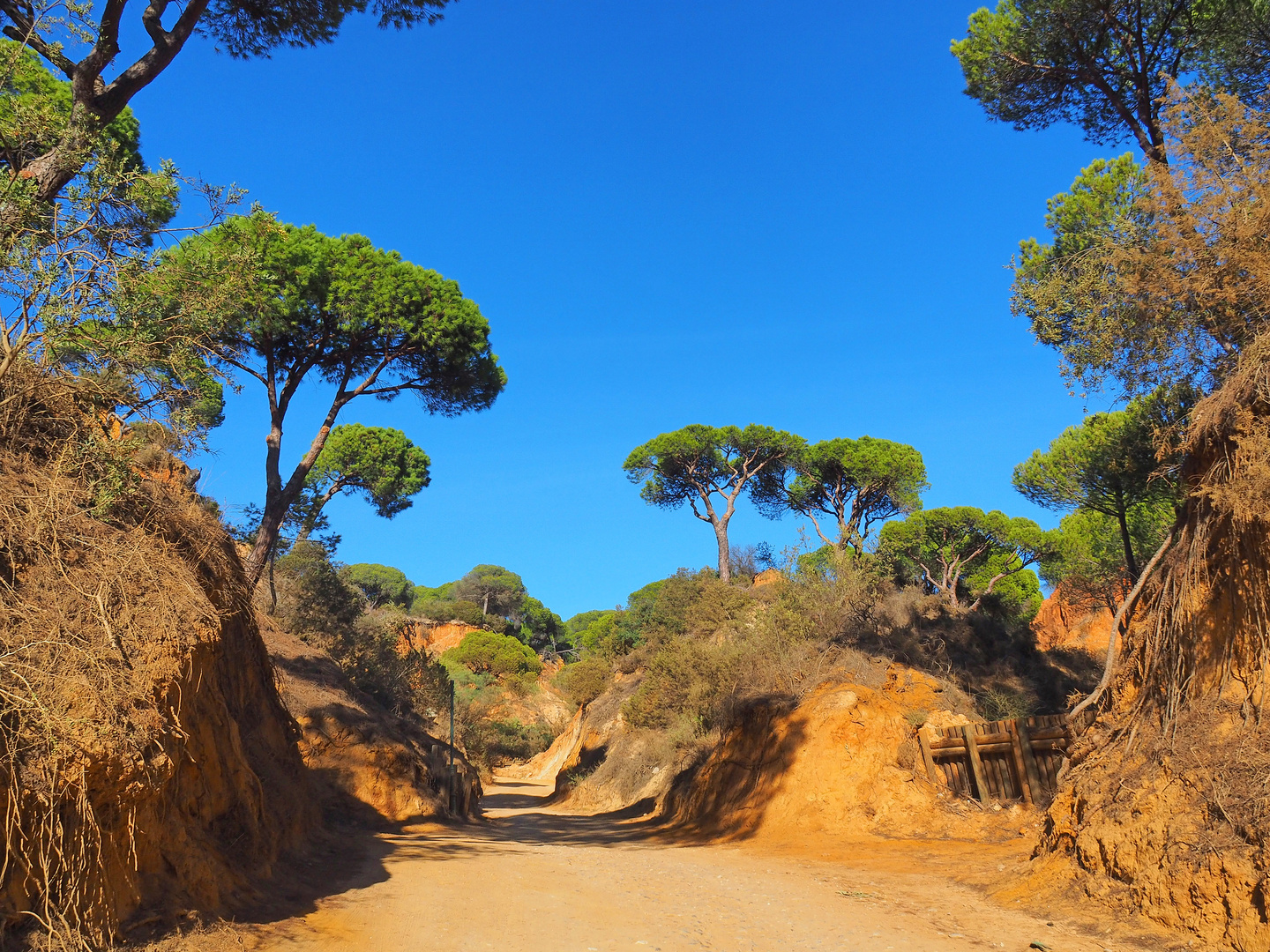 Accès à la plage de Falesia – Olhos de Agua