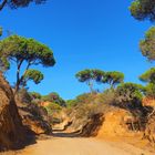 Accès à la plage de Falesia – Olhos de Agua