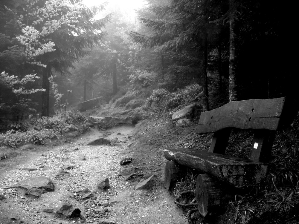 Accès au Donon, Vosges