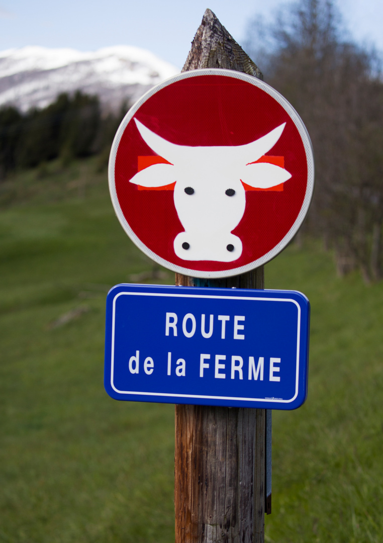 Accès vaches ...