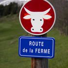 Accès vaches ...