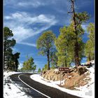 Acceso al teide