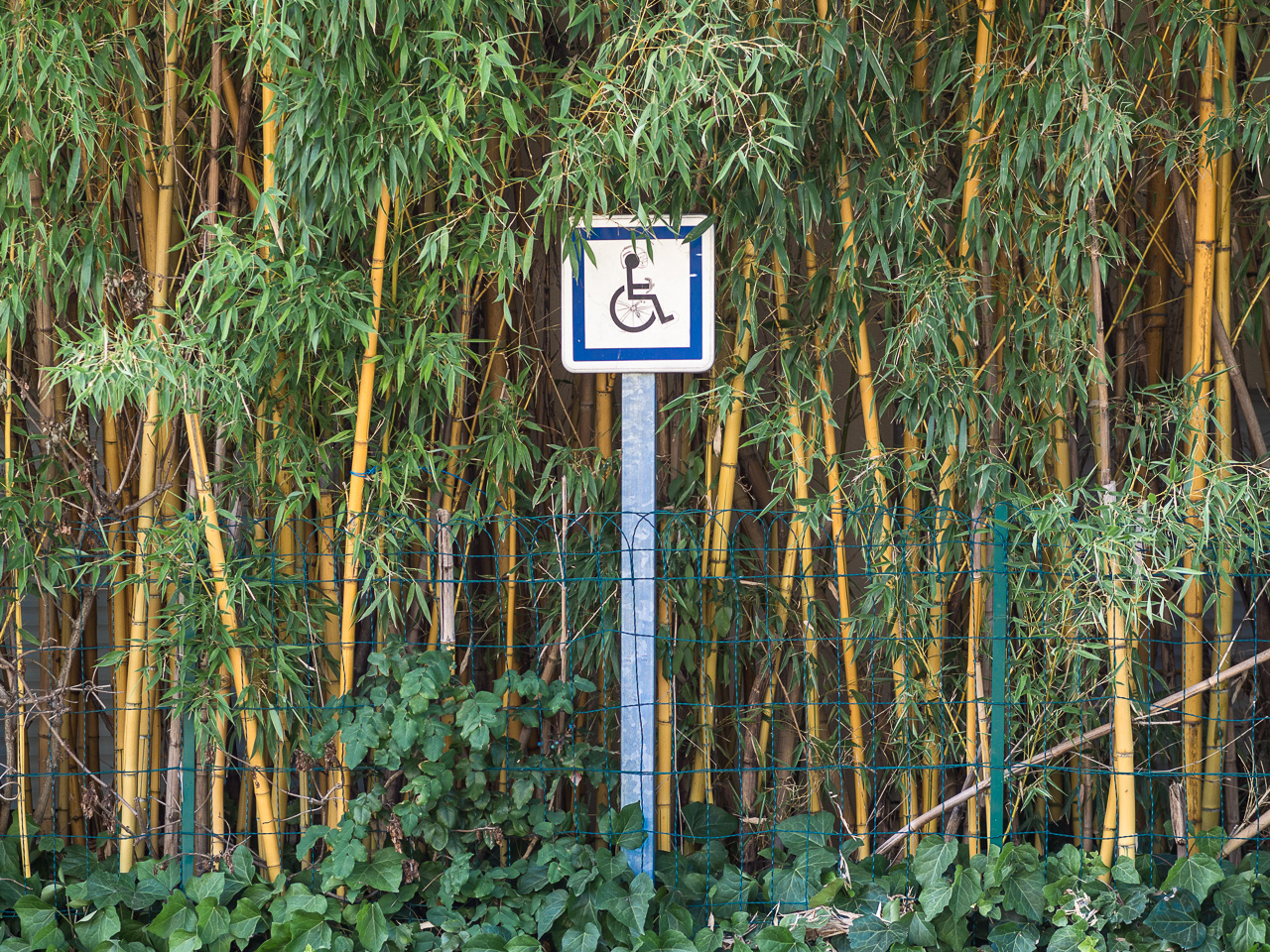 accessibilité 