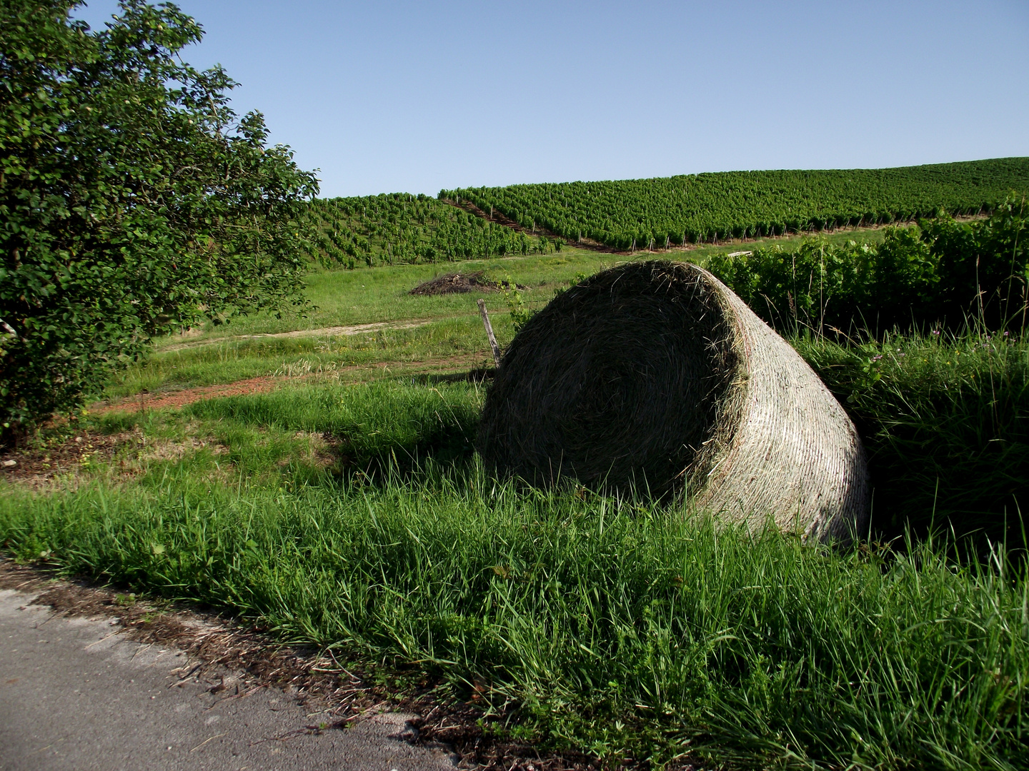 ACCIDENT DE PARCOURS !!!