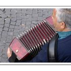 accordeoniste au Trastevere / Roma