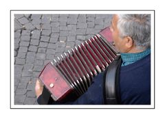 accordeoniste au Trastevere / Roma