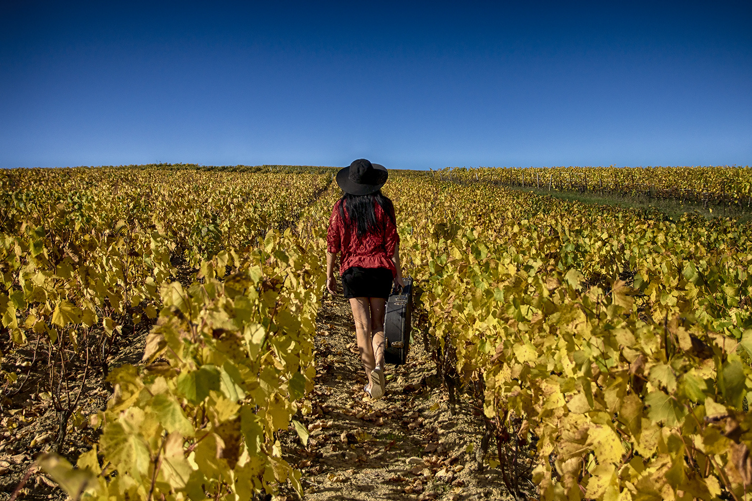 Accords au pays de Bacchus