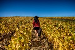 Accords au pays de Bacchus