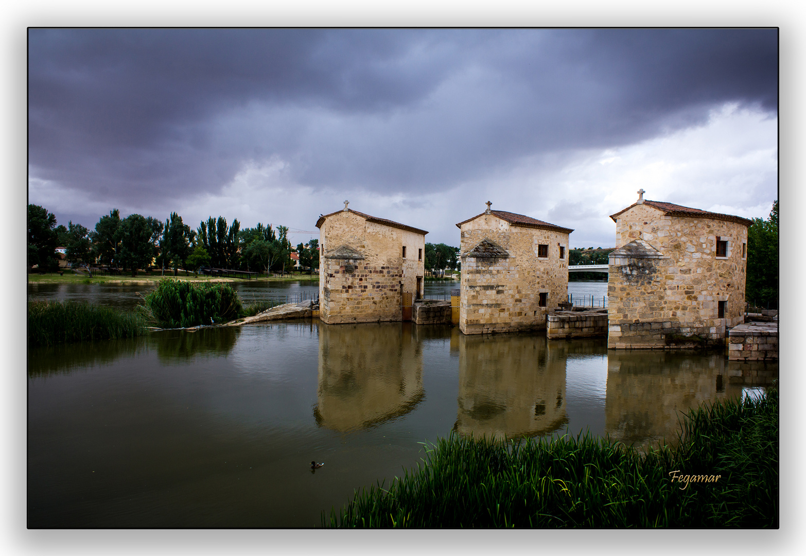 Aceñas de Olivares. Zamora