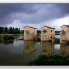 Aceñas de Olivares. Zamora