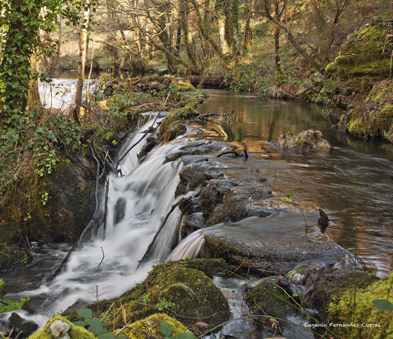 Acequia