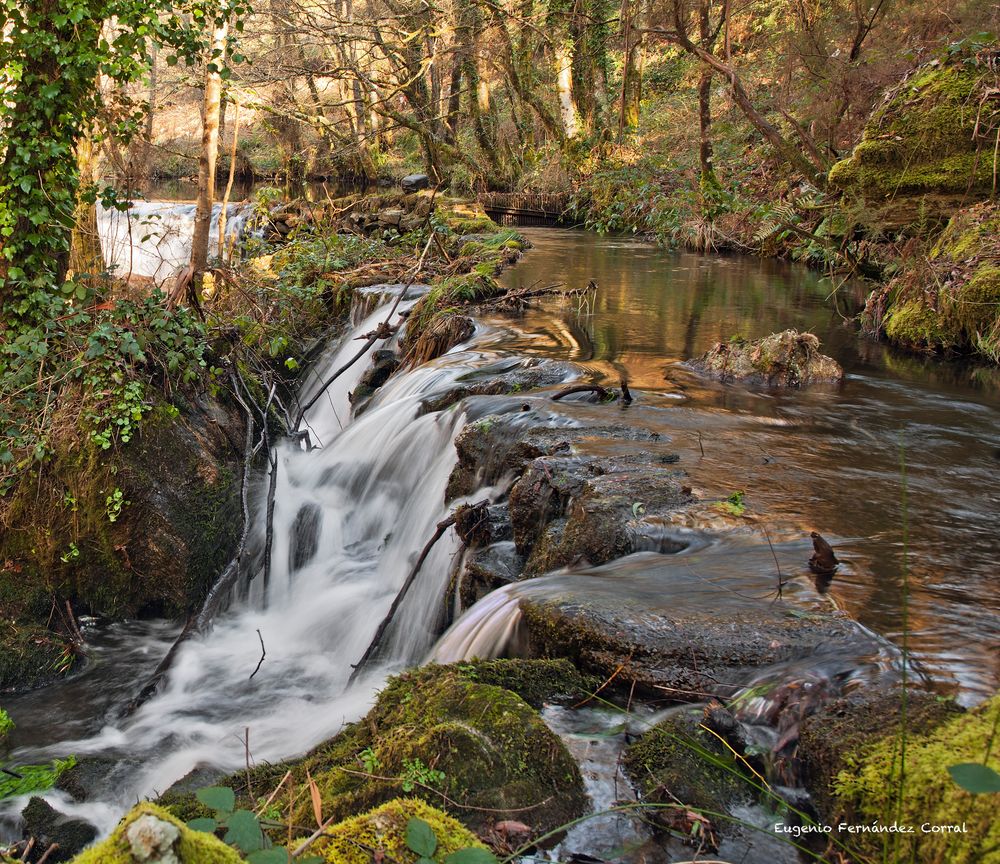 Acequia