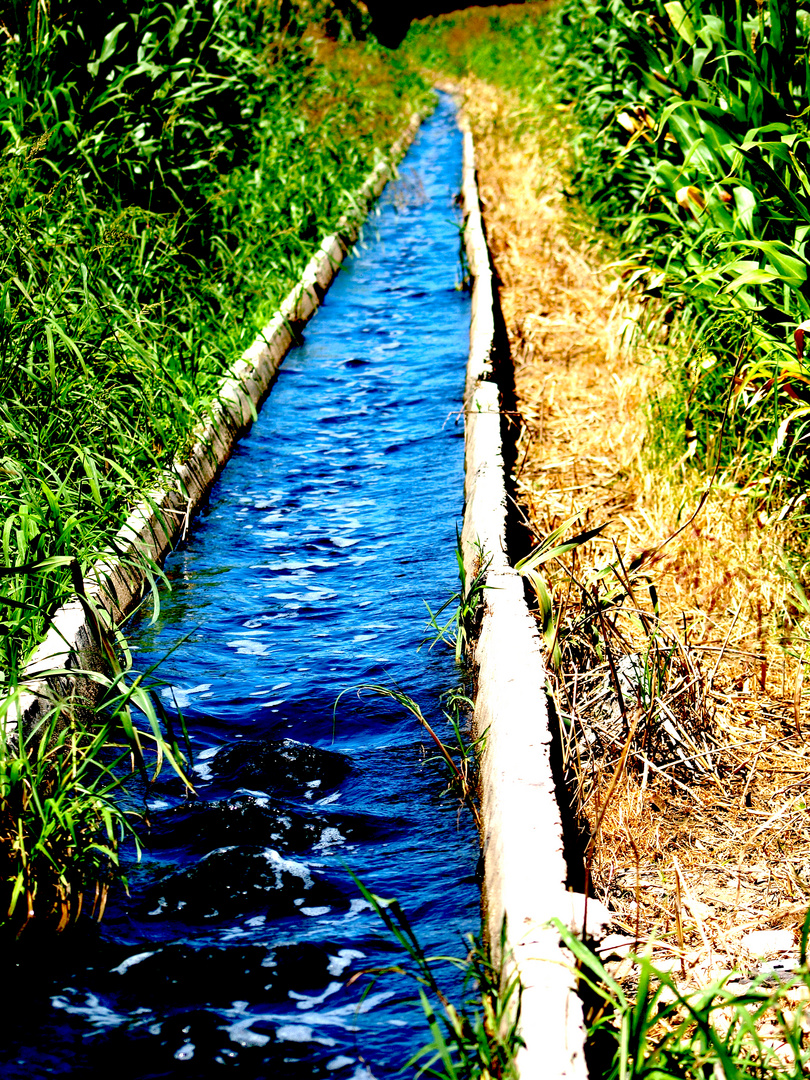 Acequia