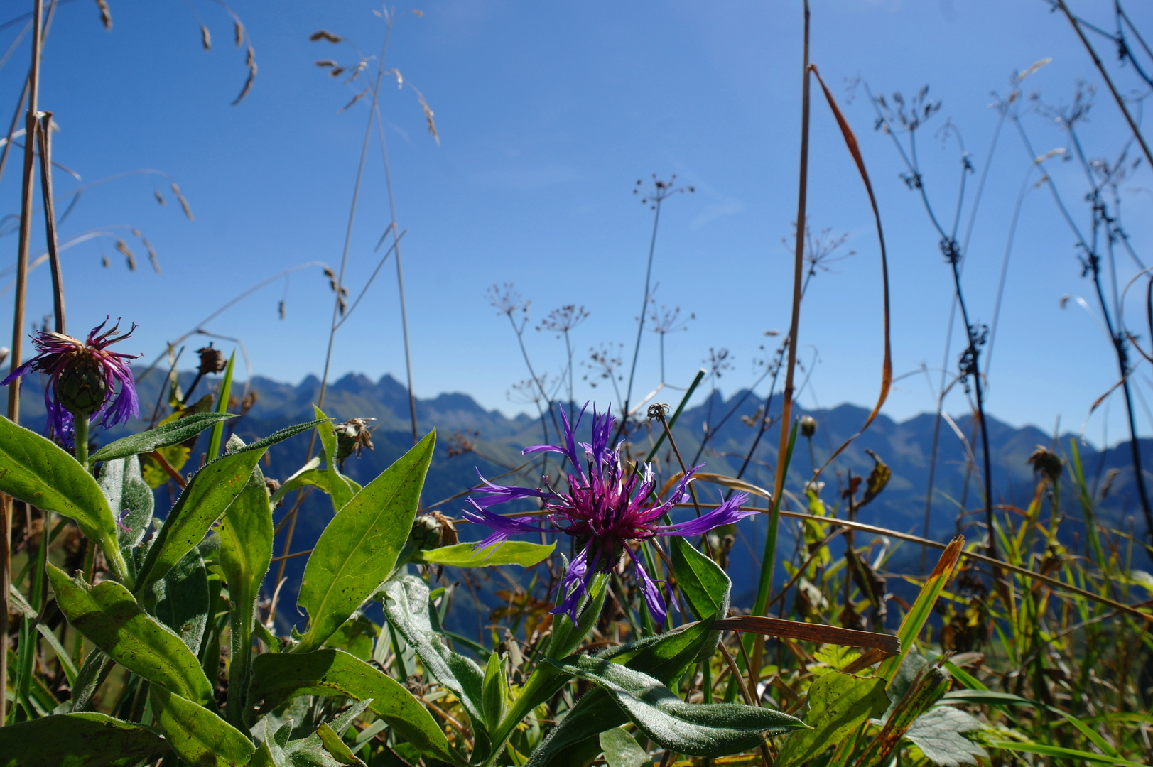 Ach die Berge.....