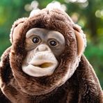 Ach du liebe Scheiße!