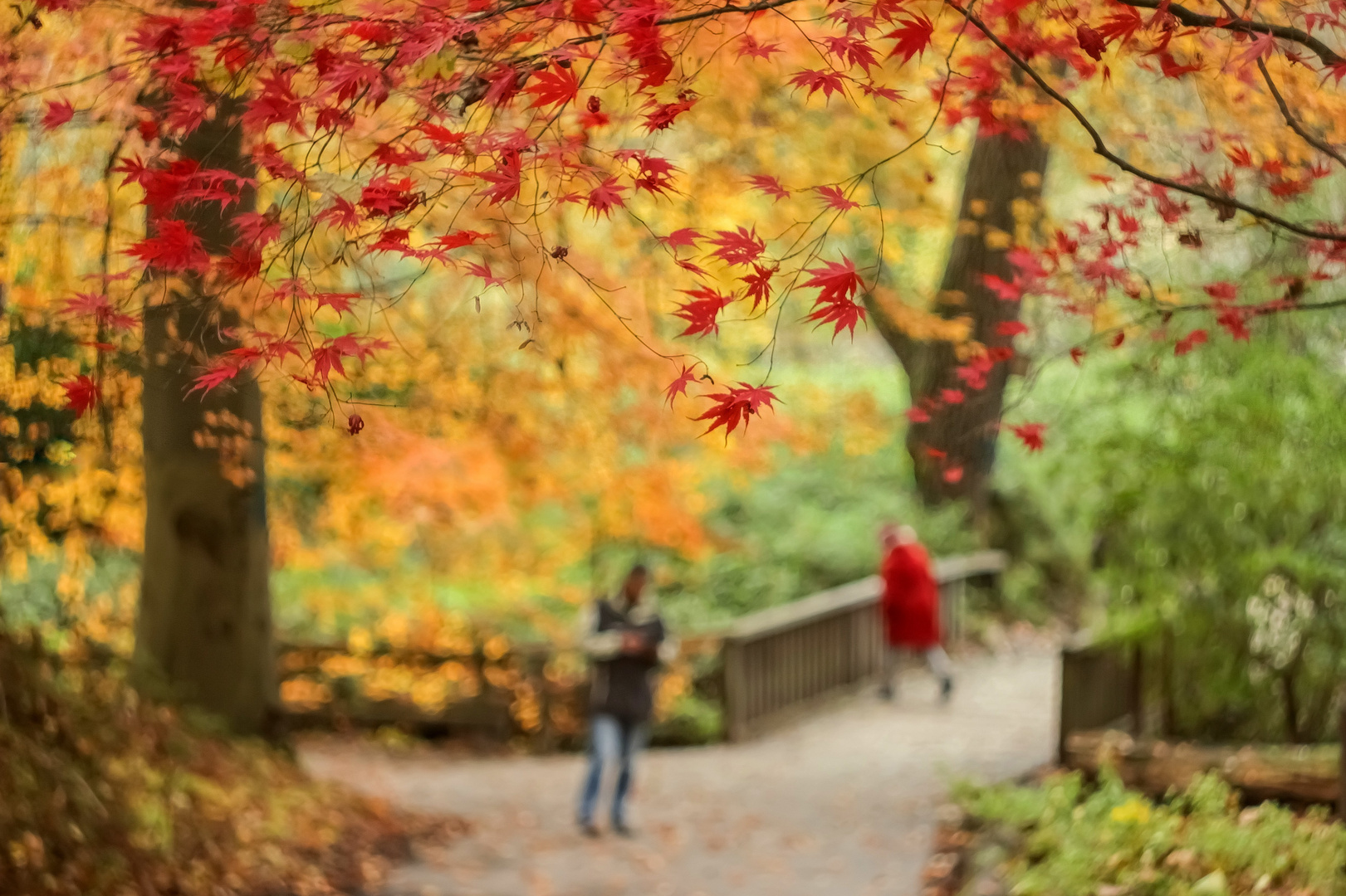 Ach du schöne Herbstzeit