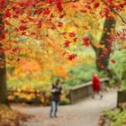 Ach du schöne Herbstzeit