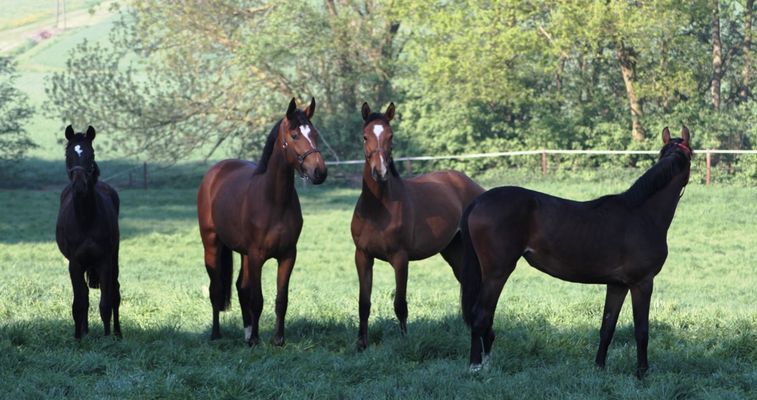 Ach er (der Hobbyfotograf) nun wieder