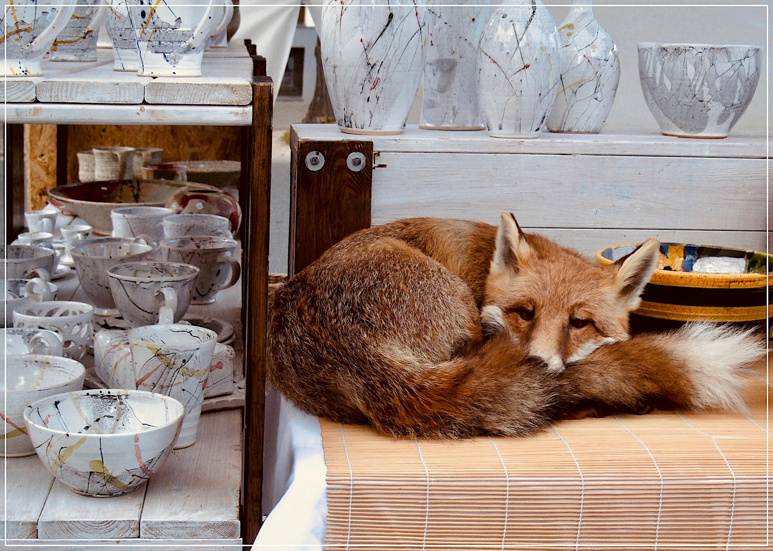 Ach herrje, was macht denn nun der Fuchs...