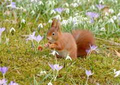 ...ach ist der Frühling schön