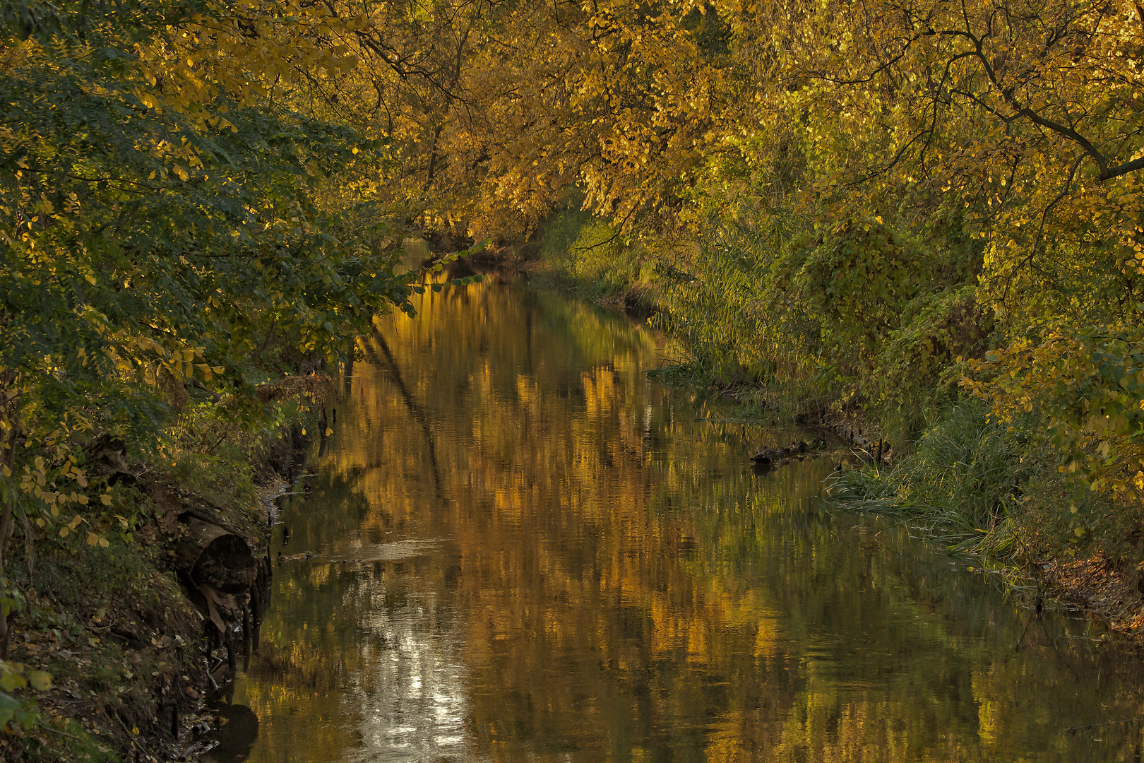 Ach ja, im Herbst war noch alles gut ...