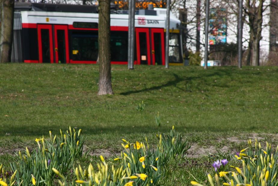 Ach jaaaaa, könnt' doch nochmal Frühling sein ...