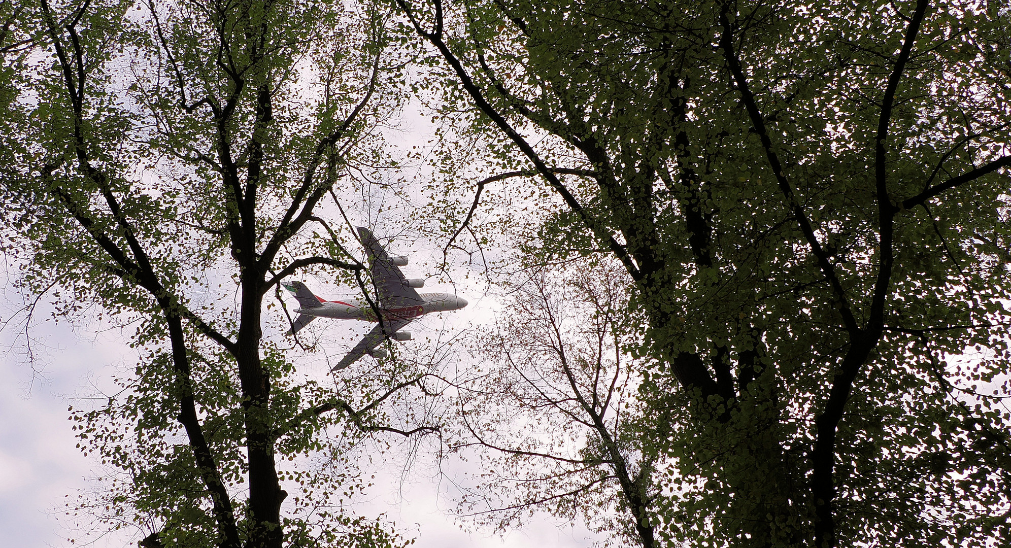 Ach je .. ist doch glatt ein Flugzeug im Baum hängen geblieben…