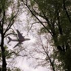 Ach je .. ist doch glatt ein Flugzeug im Baum hängen geblieben…