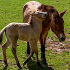 Ach Mami, ich hab dich ja sooo lieb!