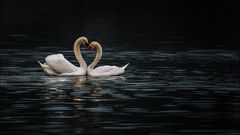 Ach muss die Liebe schön sein!