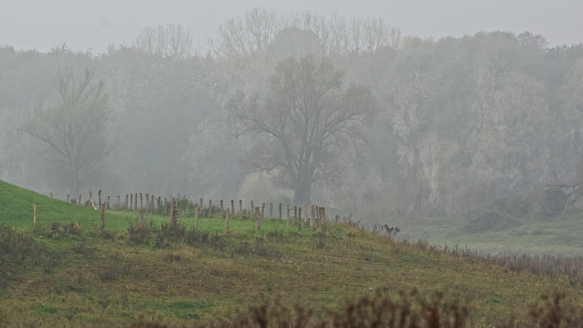 Ach Nebel kann schön sein