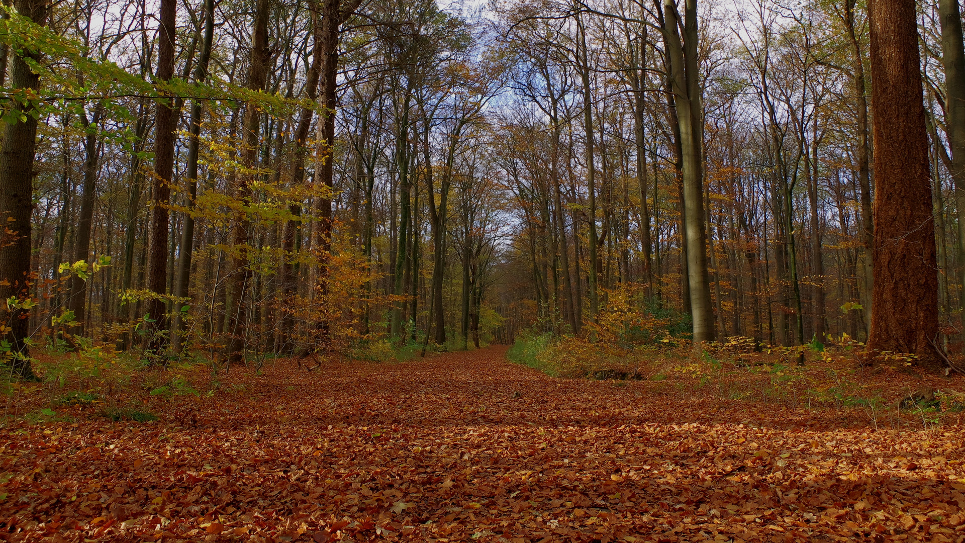 Ach was war das schön im Herbst