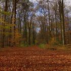 Ach was war das schön im Herbst