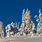 Ach, wie eiskalt ist dies Ländchen...