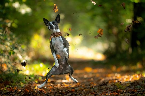 Ach wie gut, daß niemand weiß...