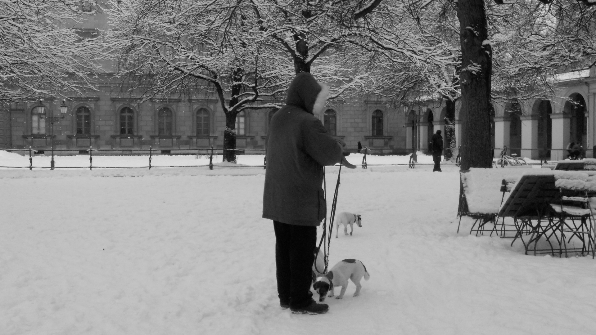 Ach wie schön ist Faschingszeit und Schnee, Schnee, Schnee...