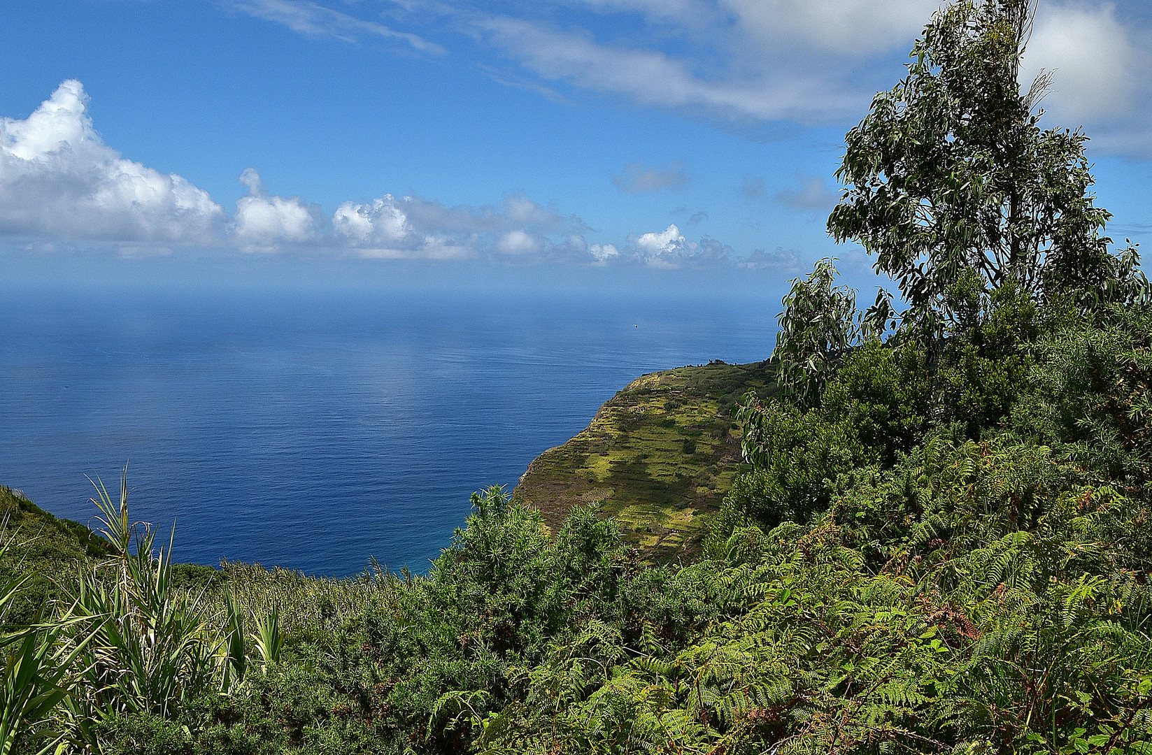 Achadas da Cruz / Madeira