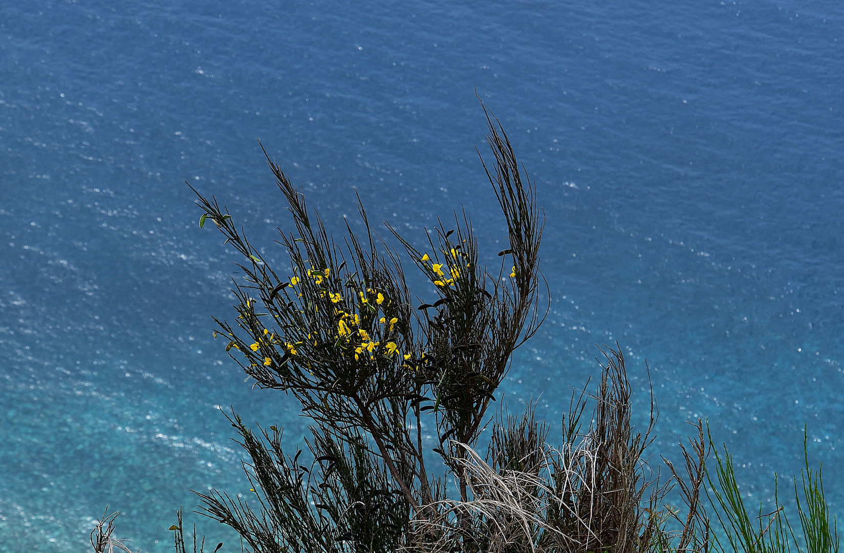 Achadas da Cruz / Madeira